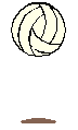Volleyball Schedule